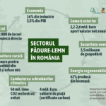 Impactul actual și potențial al sectorului pădure-lemn în România. Viziunea 2030